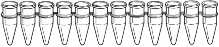 12-Strip PCR Tubes